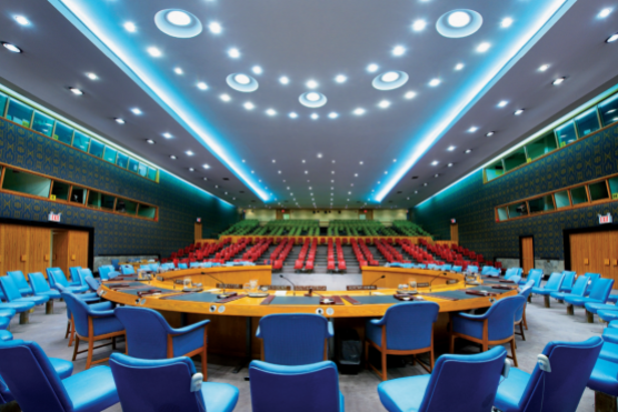 Consejo de Seguridad de la ONU por Luca Zanier